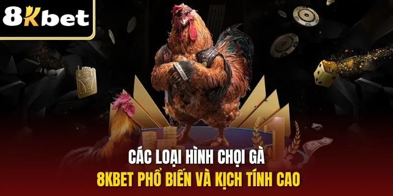 Các loại hình chọi gà 8KBET phổ biến và kịch tính cao