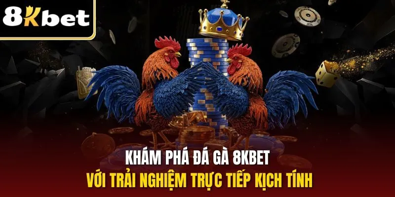 Khám phá đá gà 8KBET với trải nghiệm trực tiếp kịch tính