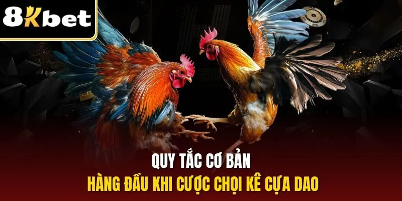 Quy tắc cơ bản hàng đầu khi cược chọi kê cựa dao