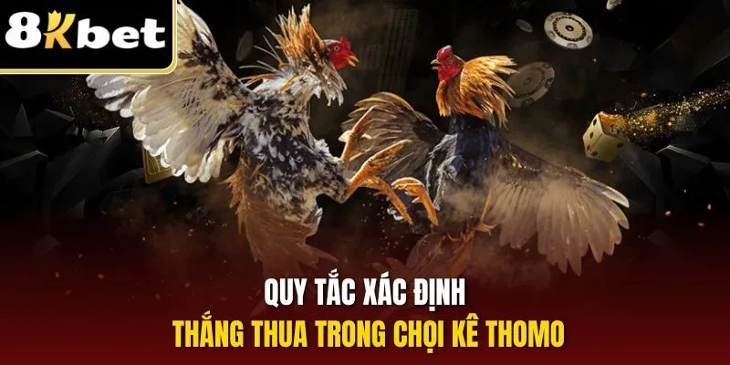 Quy tắc xác định thắng thua trong chọi kê Thomo