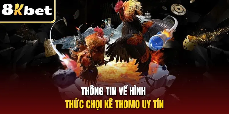Thông tin về hình thức chọi kê Thomo uy tín